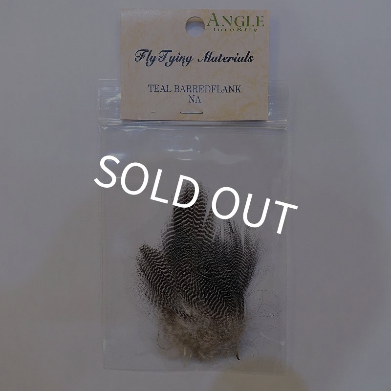 画像1: 【ANGLE】BARRED TEAL FLANK (1)