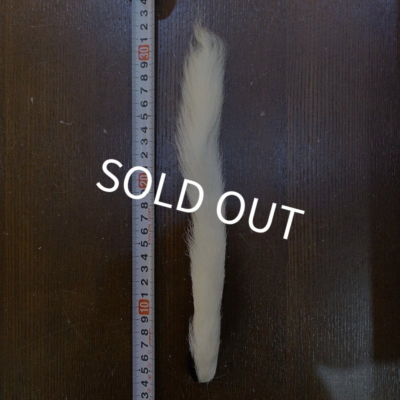 画像1: Calf tail カーフ テール(特価) (1)