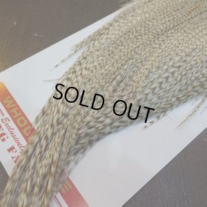 画像5: 【Whiting】ROOSTER CAPE Bronze Grade - DUN Grizzly No.2