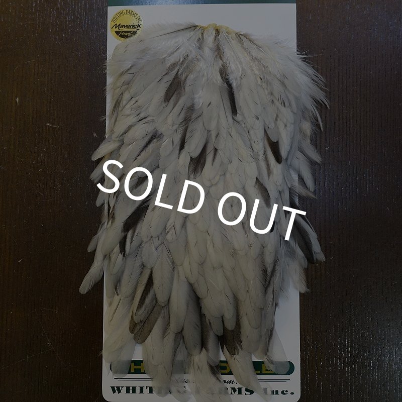 画像1: 【Whiting】HEBERT Hen Saddle - UNIQUE VARIANT (1)