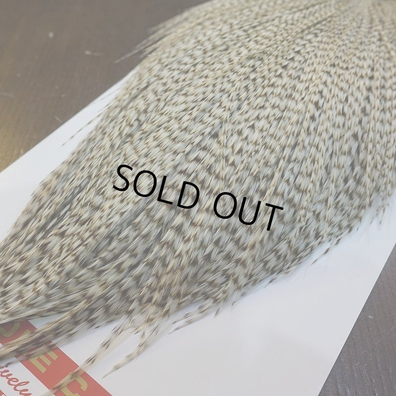 画像5: 【Whiting】ROOSTER CAPE Bronze Grade - DUN Grizzly No.1 (5)