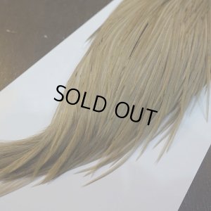 画像4: 【WHITING】Hebert ROOSTER CAPE Bronze Grade - Light tan dun No.1