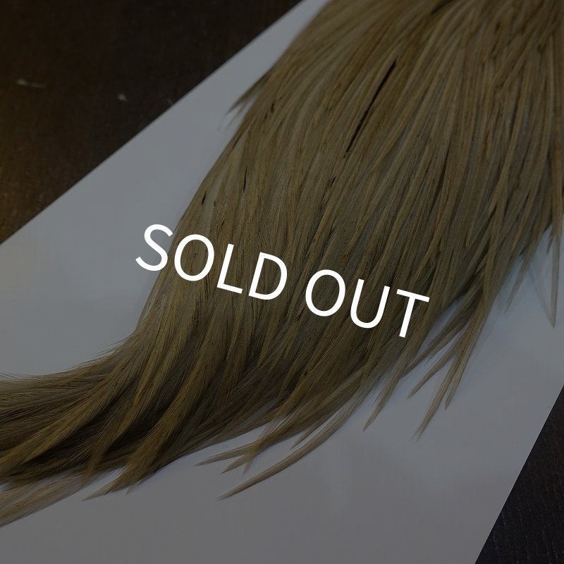 画像4: 【WHITING】Hebert ROOSTER CAPE Bronze Grade - Light tan dun No.1 (4)