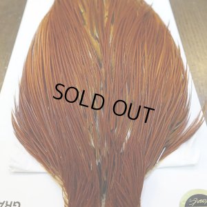 画像5: 【WHITING】Hebert ROOSTER CAPE PRO Grade - Medium Brown