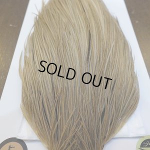 画像5: 【WHITING】Hebert ROOSTER CAPE Bronze Grade - Light tan dun No.1