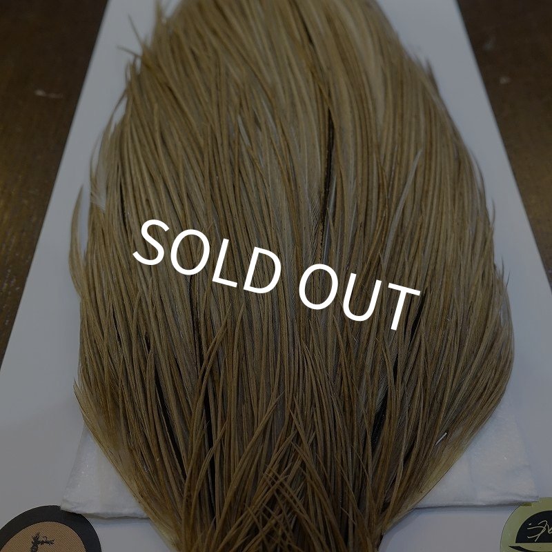 画像5: 【WHITING】Hebert ROOSTER CAPE Bronze Grade - Light tan dun No.1 (5)