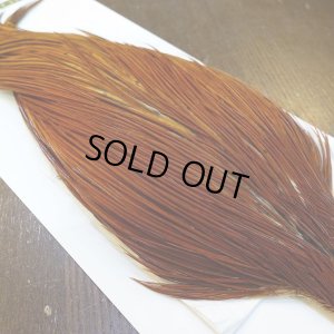 画像3: 【WHITING】Hebert ROOSTER CAPE PRO Grade - Medium Brown