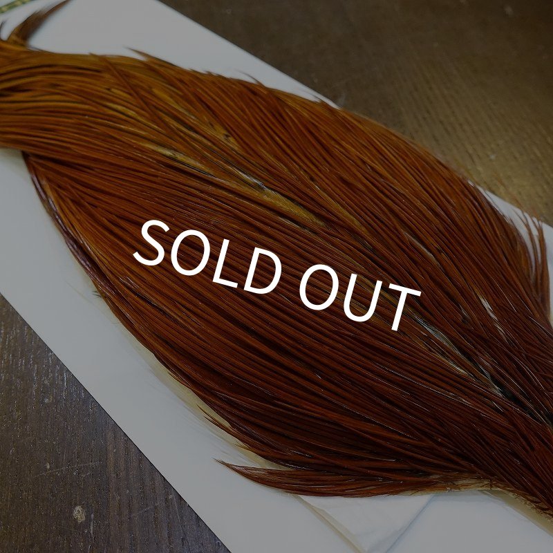 画像3: 【WHITING】Hebert ROOSTER CAPE PRO Grade - Medium Brown (3)