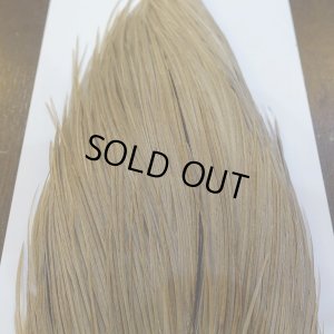 画像6: 【WHITING】Hebert ROOSTER CAPE Bronze Grade - Light tan dun No.1