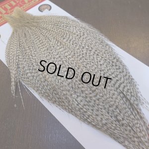 画像2: 【Whiting】ROOSTER CAPE Bronze Grade - DUN Grizzly No.1