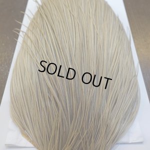 画像6: 【WHITING】Hebert Silver Grade ROOSTER CAPE - PALE WATERLY DUN No.1