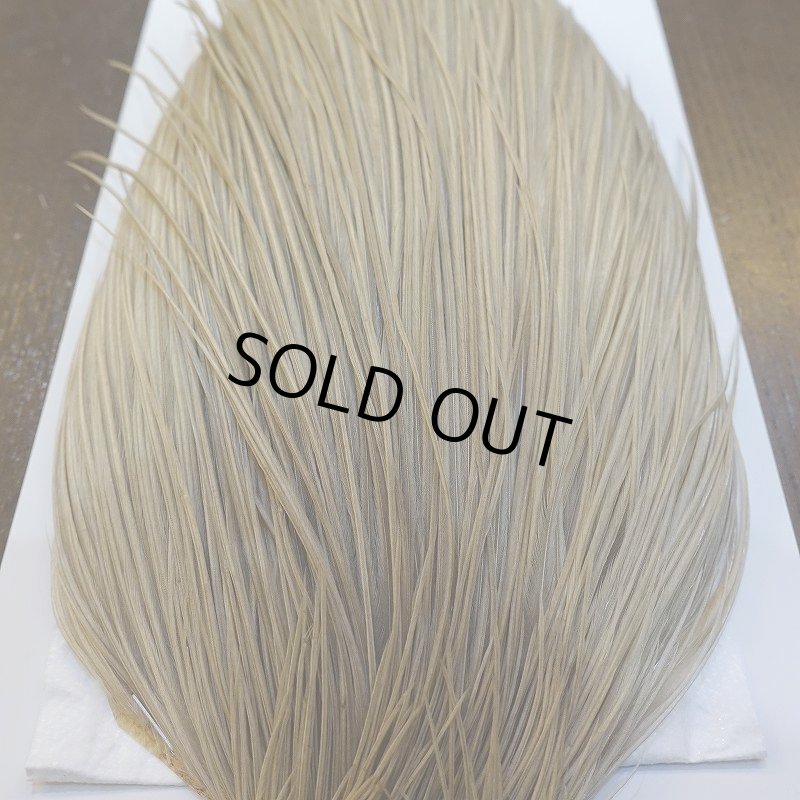 画像6: 【WHITING】Hebert Silver Grade ROOSTER CAPE - PALE WATERLY DUN No.1 (6)