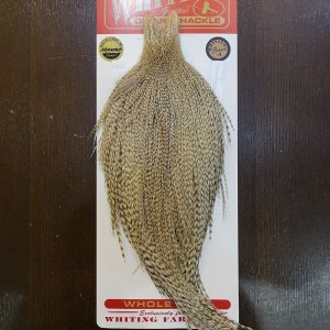 画像1: 【Whiting】ROOSTER CAPE Bronze Grade - DUN Grizzly No.2