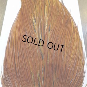 画像6: 【WHITING】Hebert ROOSTER CAPE PRO Grade - Medium Brown