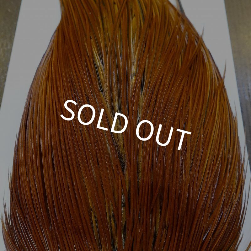 画像6: 【WHITING】Hebert ROOSTER CAPE PRO Grade - Medium Brown (6)