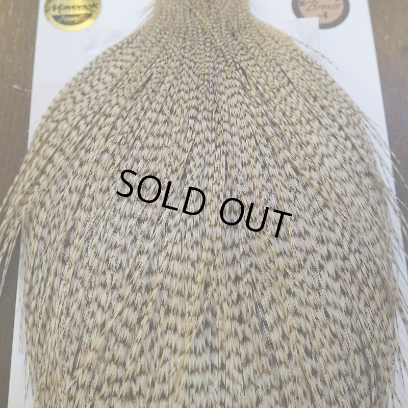 画像7: 【Whiting】ROOSTER CAPE Bronze Grade - DUN Grizzly No.1 (7)