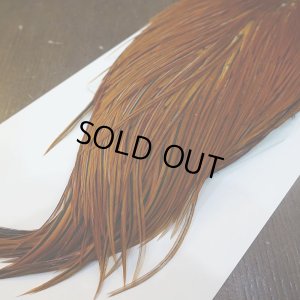 画像4: 【WHITING】Hebert ROOSTER CAPE PRO Grade - Medium Brown