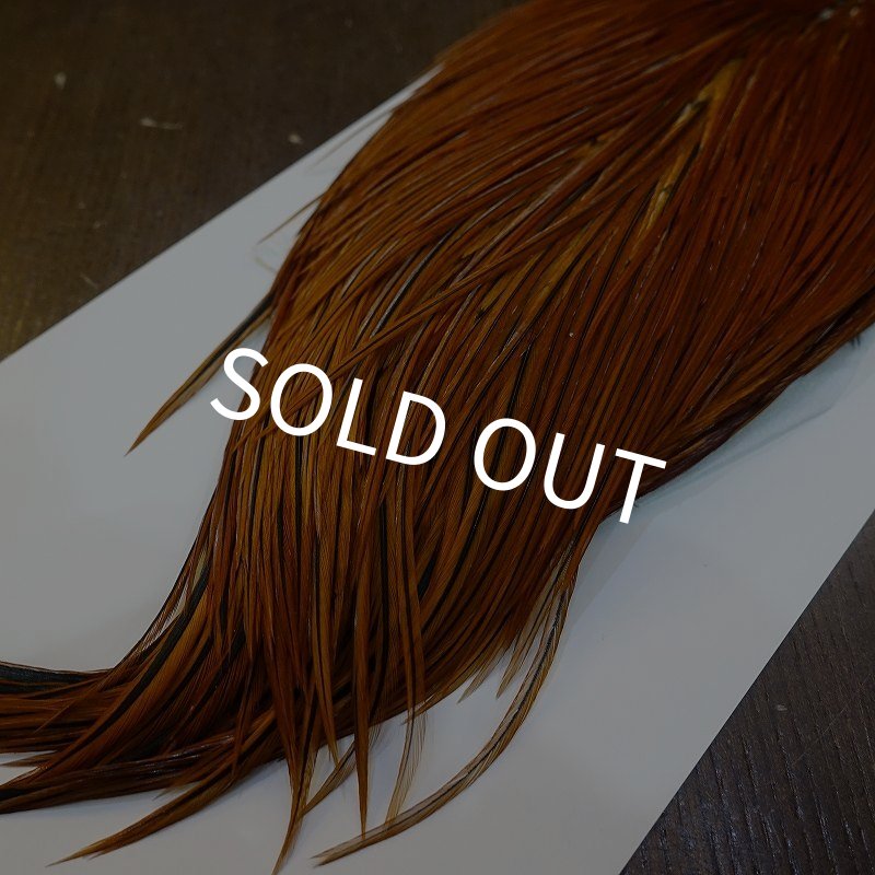 画像4: 【WHITING】Hebert ROOSTER CAPE PRO Grade - Medium Brown (4)