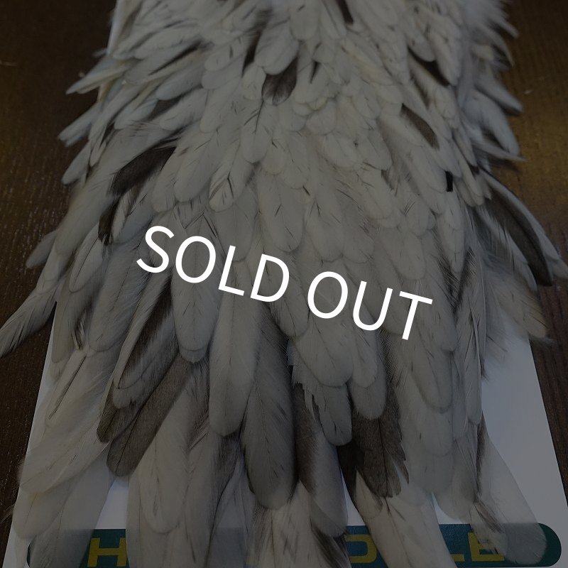 画像2: 【Whiting】HEBERT Hen Saddle - UNIQUE VARIANT (2)