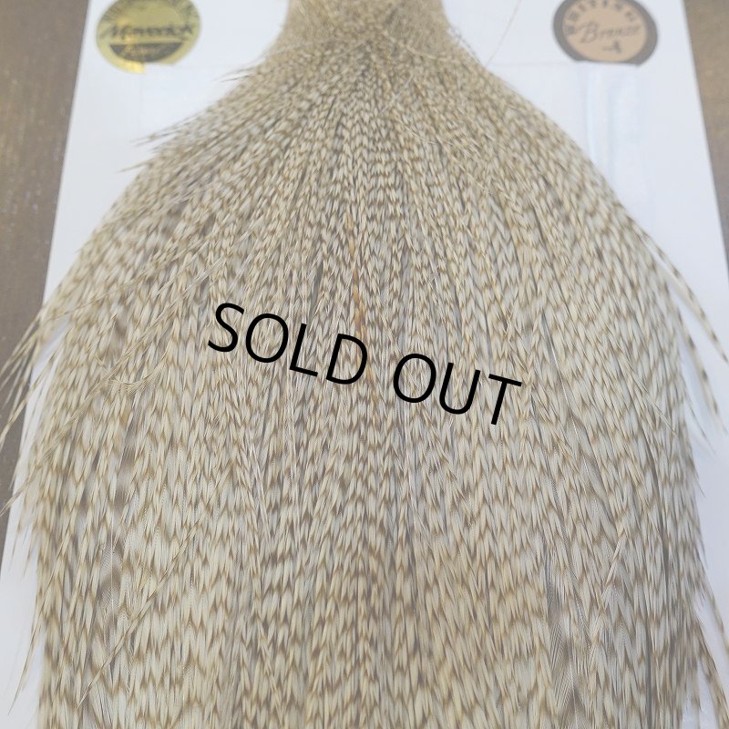 画像7: 【Whiting】ROOSTER CAPE Bronze Grade - DUN Grizzly No.2 (7)