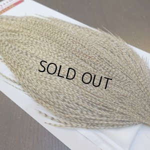 画像4: 【Whiting】ROOSTER CAPE Bronze Grade - DUN Grizzly No.2