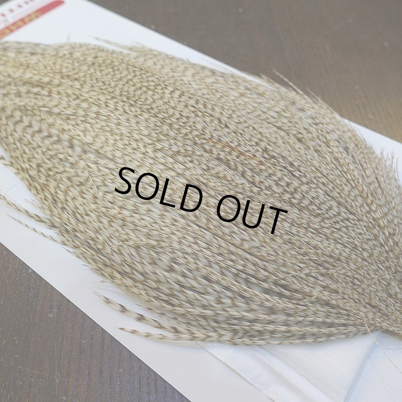 画像4: 【Whiting】ROOSTER CAPE Bronze Grade - DUN Grizzly No.2 (4)