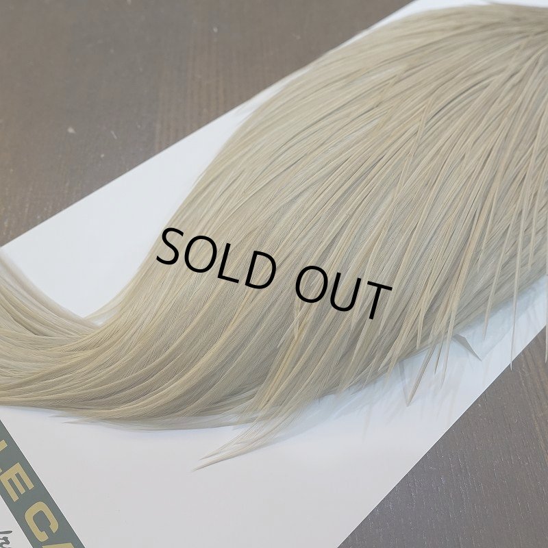 画像5: 【WHITING】Hebert Silver Grade ROOSTER CAPE - PALE WATERLY DUN No.1 (5)