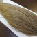 画像3: 【WHITING】Hebert ROOSTER CAPE Bronze Grade - Light tan dun No.1