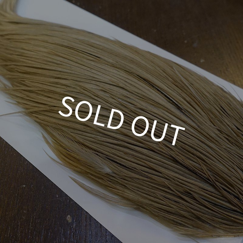 画像3: 【WHITING】Hebert ROOSTER CAPE Bronze Grade - Light tan dun No.1 (3)