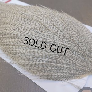 画像4: 【Whiting】ROOSTER CAPE Bronze Grade - DUN Grizzly No.1