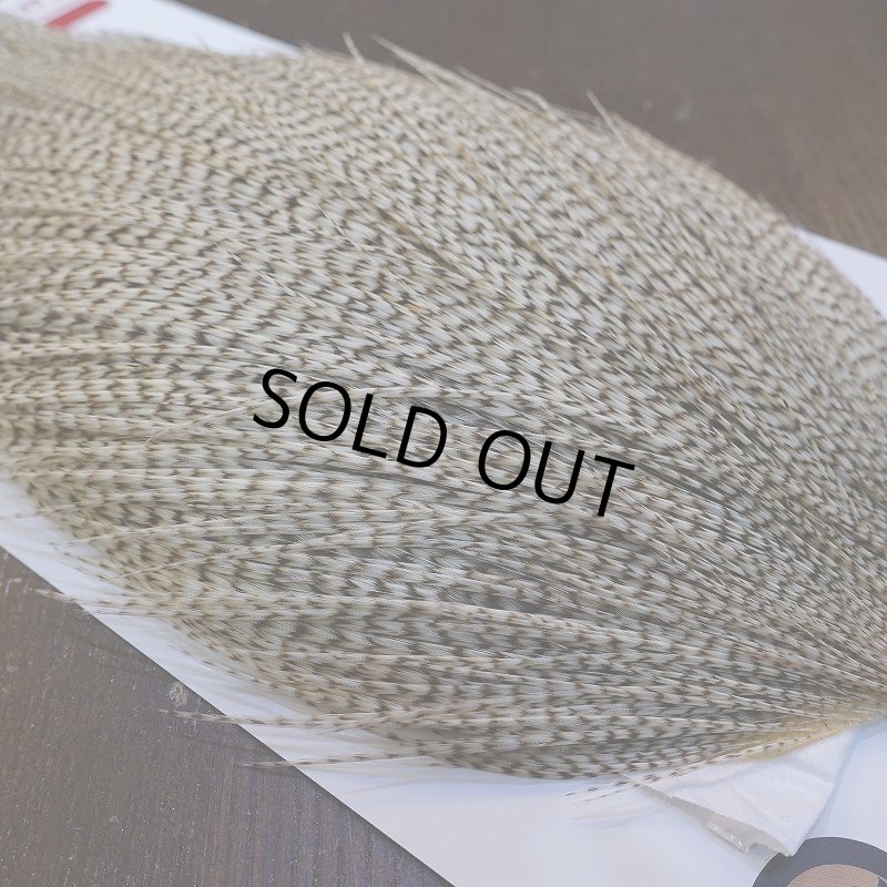 画像4: 【Whiting】ROOSTER CAPE Bronze Grade - DUN Grizzly No.1 (4)