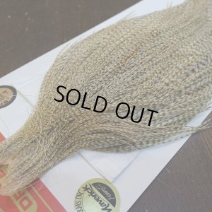 画像3: 【Whiting】ROOSTER CAPE Bronze Grade - DUN Grizzly No.2