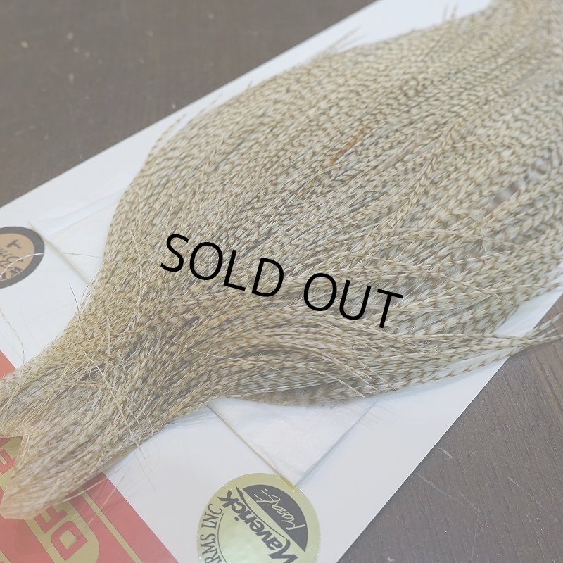 画像3: 【Whiting】ROOSTER CAPE Bronze Grade - DUN Grizzly No.2 (3)