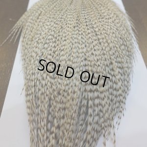 画像6: 【Whiting】ROOSTER CAPE Bronze Grade - DUN Grizzly No.1