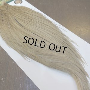 画像2: 【WHITING】Hebert ROOSTER CAPE Bronze Grade - Light tan dun No.1