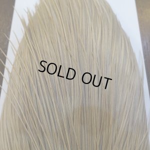 画像7: 【WHITING】Hebert Silver Grade ROOSTER CAPE - PALE WATERLY DUN No.1