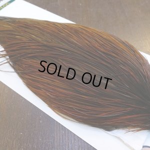 画像4: 【WHITING】Hebert ROOSTER CAPE Bronze grade - Furnace No.4