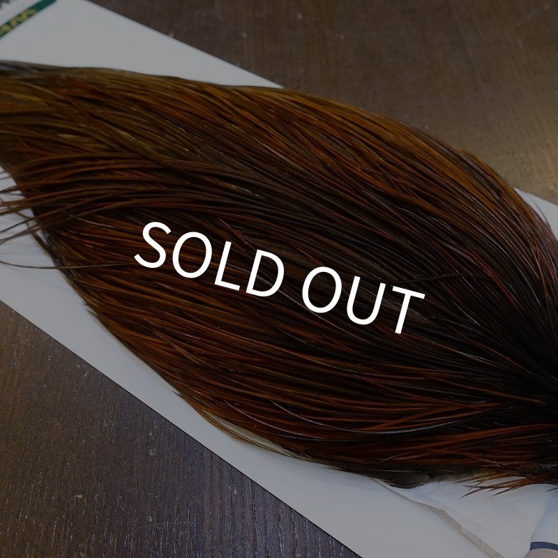 画像4: 【WHITING】Hebert ROOSTER CAPE Bronze grade - Furnace No.4 (4)