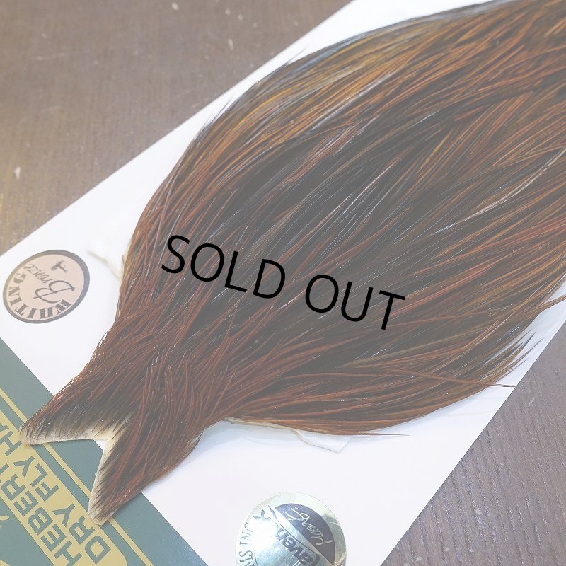 画像3: 【WHITING】Hebert ROOSTER CAPE Bronze grade - Furnace No.5 (3)