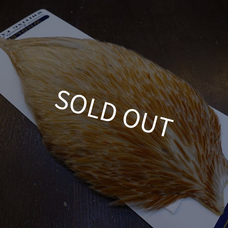 画像4: 【WHITING】AMERICAN ROOSTER CAPE - HONEY DUN (4)