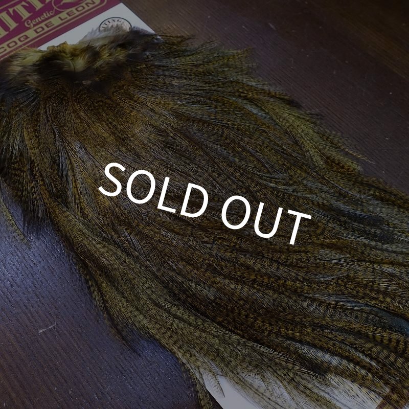 画像2: 【WHITING】Coq de Leon Saddle Silver Grade - DYED BADGER/GOLDEN OLIVE (2)