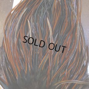 画像7: 【WHITING】Rooster Saddle Pro Grade Furnace #14 No.3