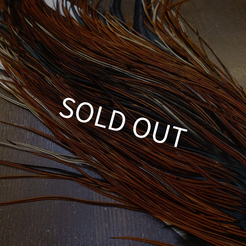 画像4: 【WHITING】Rooster Saddle Pro Grade Furnace #16 No.4 (4)