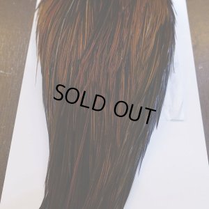 画像5: 【WHITING】Hebert ROOSTER CAPE Bronze grade - Furnace No.5