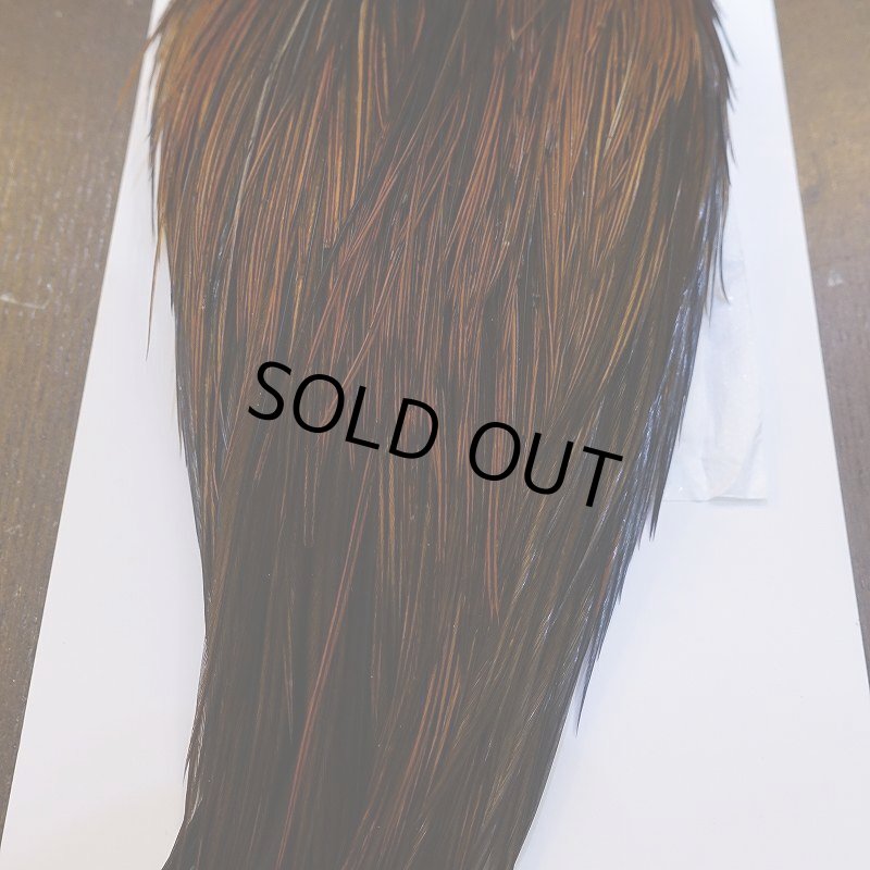 画像5: 【WHITING】Hebert ROOSTER CAPE Bronze grade - Furnace No.5 (5)