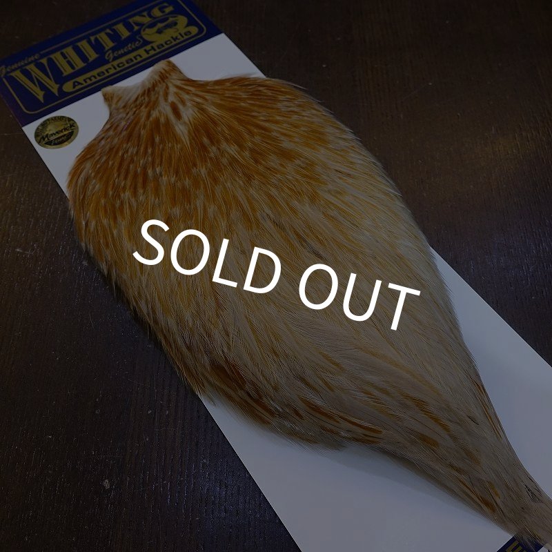 画像2: 【WHITING】AMERICAN ROOSTER CAPE - HONEY DUN (2)