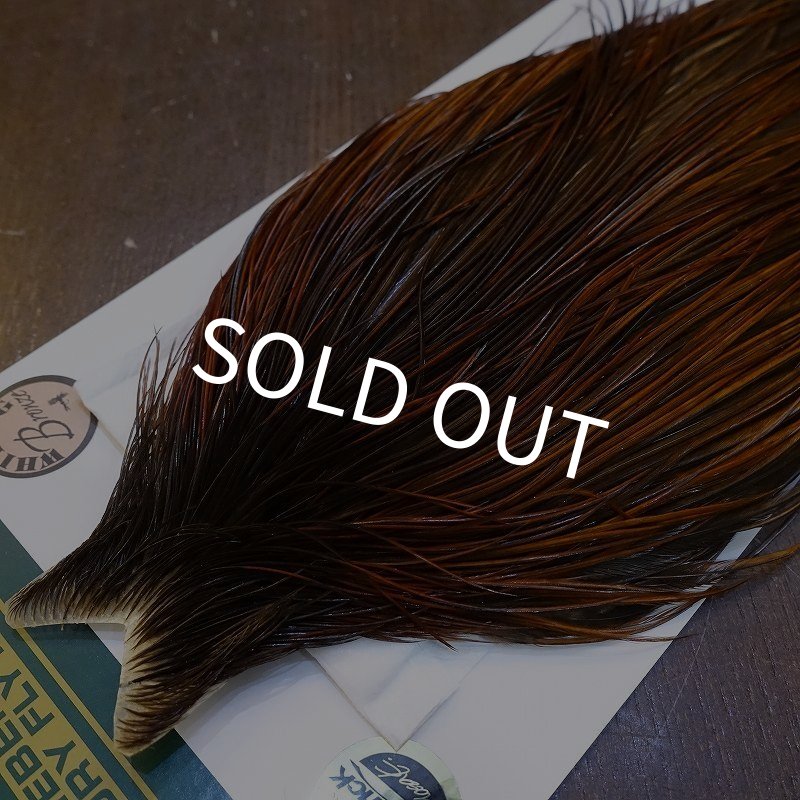 画像3: 【WHITING】Hebert ROOSTER CAPE Bronze grade - Furnace No.4 (3)