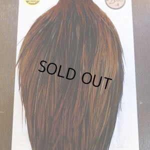 画像6: 【WHITING】Hebert ROOSTER CAPE Bronze grade - Furnace No.5