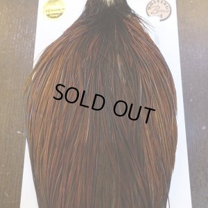 画像6: 【WHITING】Hebert ROOSTER CAPE Bronze grade - Furnace No.4