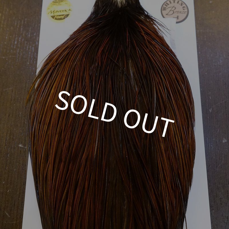 画像6: 【WHITING】Hebert ROOSTER CAPE Bronze grade - Furnace No.4 (6)